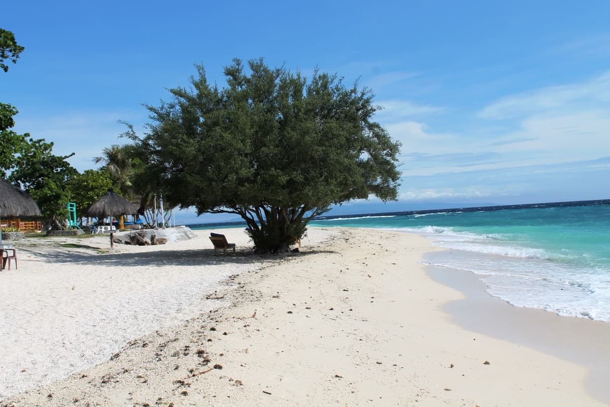 Balicasag & Virgin Island Hopping with Dolphin Watching — event poster