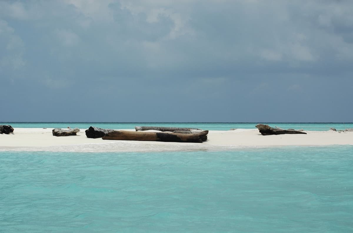 Tubbataha Reefs Liveaboard — event poster